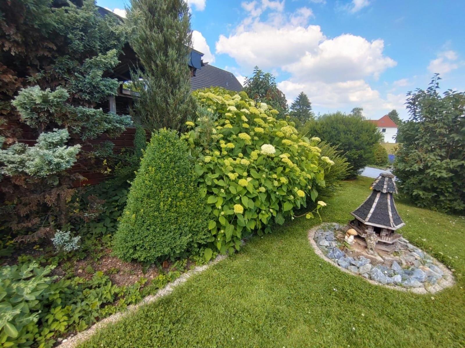 Ferienwohnung Rosa Horn-Bad Meinberg Luaran gambar